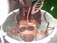 Cockroach Cake 2