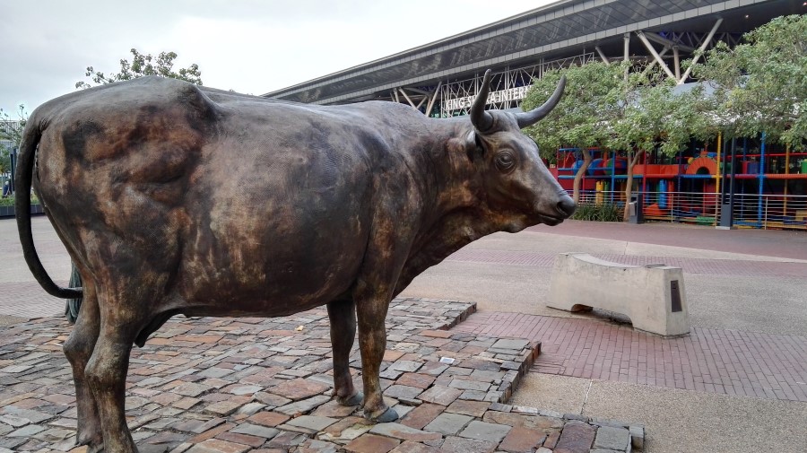IMG_20160412_15 Cattle sculpture Outside King Shaka International Airport in Durban